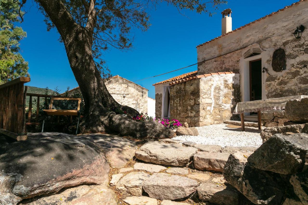 Casa vacanza Stazzu Saiacciu Palau Esterno foto
